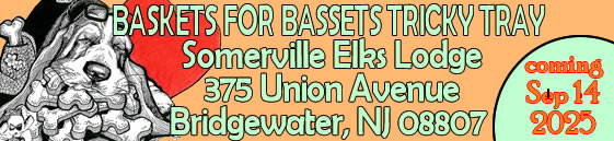 Mid-Atlantic Basset Hound Rescue Tricky Tray